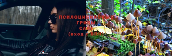 таблы Абинск