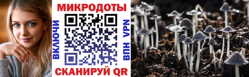 даркнет сайт  Кинешма  Псилоцибиновые грибы ЛСД 